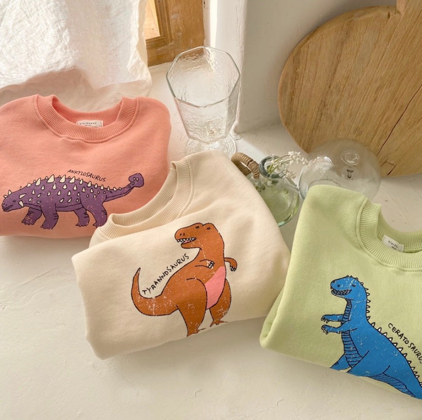 Dinosaur Sweatshirt