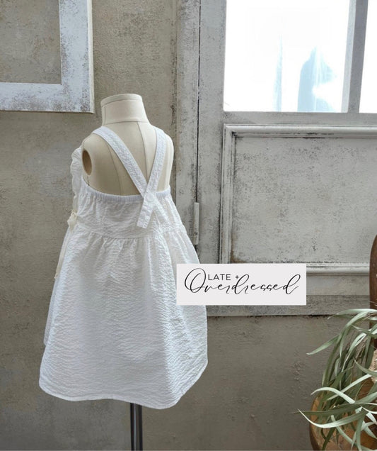 Ruffle Seersucker Dress